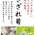 さざれ菊-A4