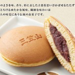 三笠ネット掲載21